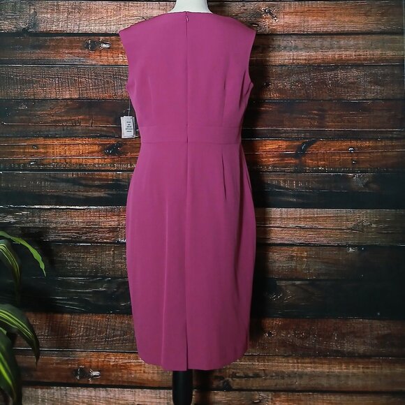 NWT Kasper Sheath Dress 10P Cerise Zip Back Lined - Picture 3 of 11